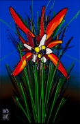 Hart-David-abstract-orchid.jpg