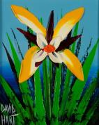 hart-d-bush-orchid-yellow.jpg
