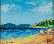 hart-p-beach-qld-87.jpg